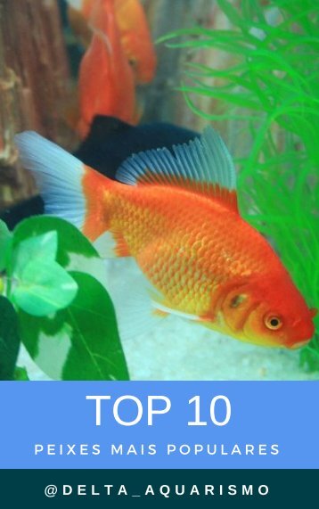 [Ebook] V1 - Top 10 peixes mais populares (1)