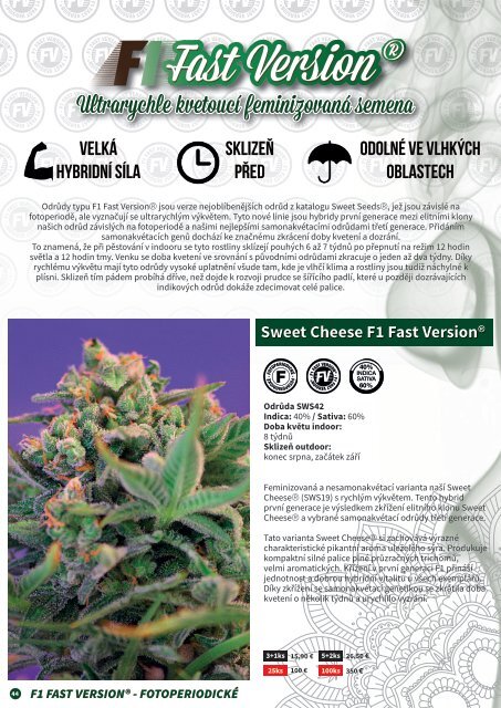 Sweet Seeds® 2019 - Czech