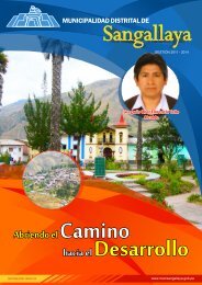 Revista de la Municipalidad Distrital de Sangallaya 2