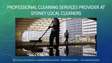 Professional Cleaning Services-converted