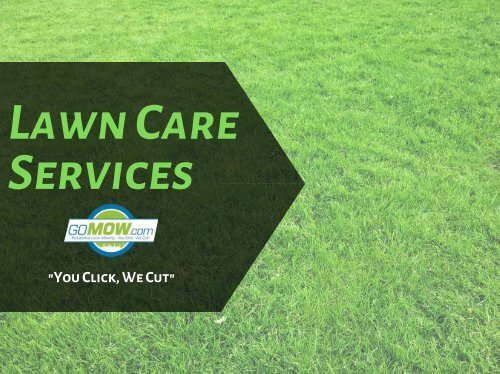 Pros & Cons of DIY Lawn Care Vs. Professional Lawn Care in Texas