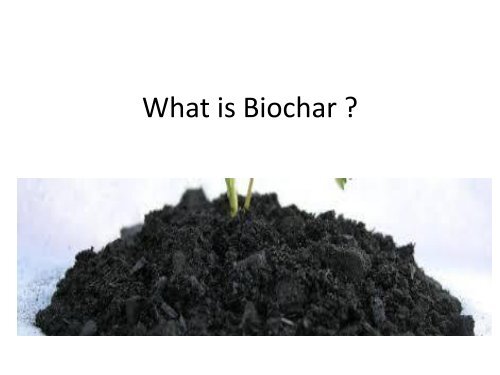 Biochar Agriculture