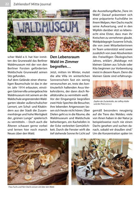 Zehlendorf Mitte Journal Feb/Mrz 2019