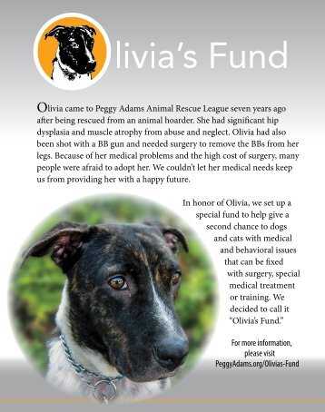 Mission In Progress: Olivia's Fund