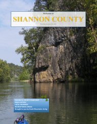 Shannon County Brochure