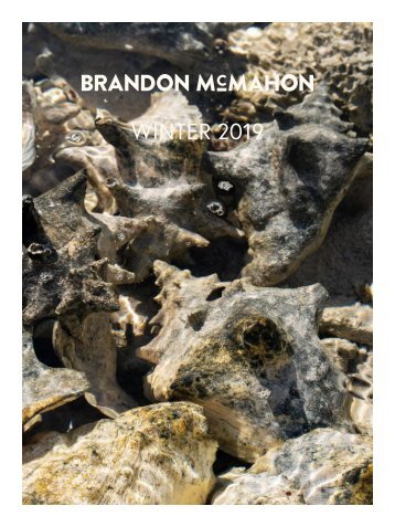 Brandon McMahon Journal: Winter 2019