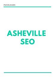 Asheville SEO