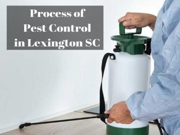 Process of Pest Control in Lexington SC by Columbia Certified Pest Control