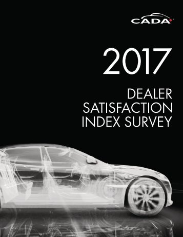2017 DSI Survey