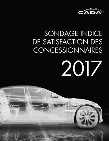 2017 DSI Survey French