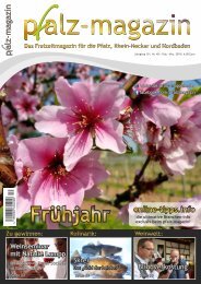 535632 Margerite mehrjährig weiß Chyrsanthemum Sämereien Saatgut