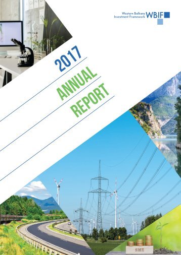 WBIF-2017-Annual-Report.compressed