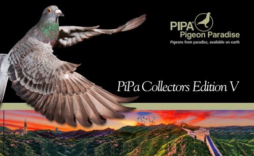 PIPA Collectors Edition V English