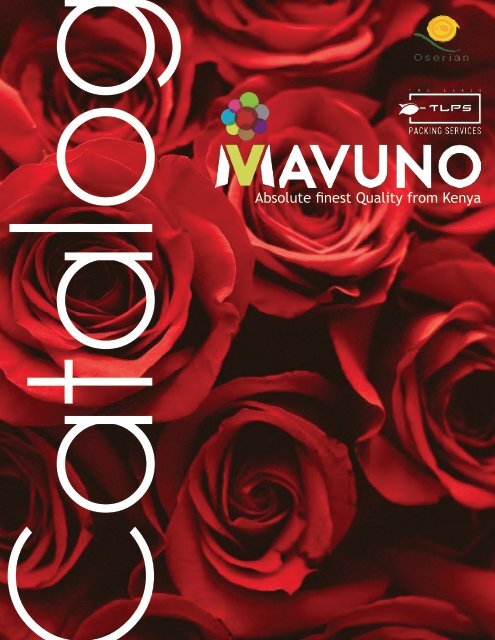 mavuno catalog new final