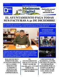 Diario Local Enero 2019