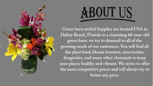 Best Orchid Mixes – Green Barn Orchid Supplies