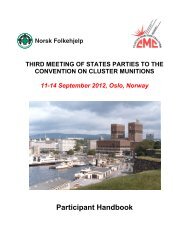 3MSP Participant Handbook - Cluster Munition Coalition