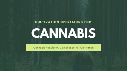 Cannabis Regulatory Compliance | Cultivation Operation | Global Cannect