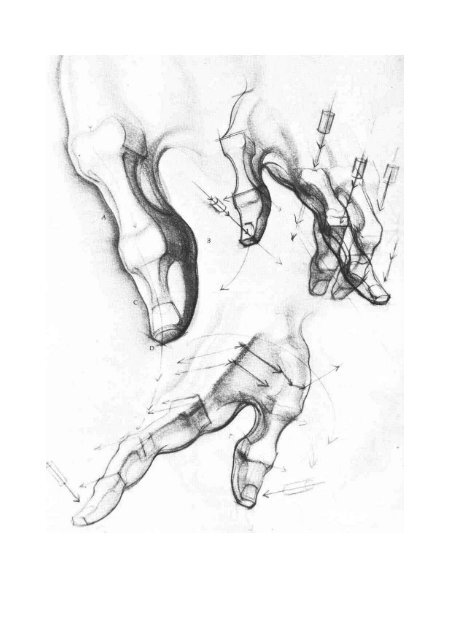 dynamic figure drawing hogarth