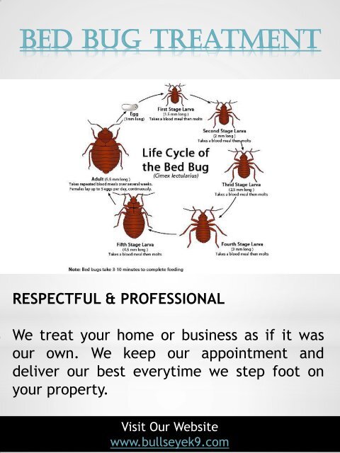 Certified Bed Bug Exterminator &amp; Treatment Service