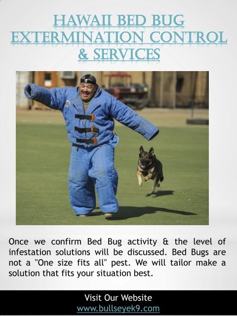 Certified Bed Bug Exterminator &amp; Treatment Service