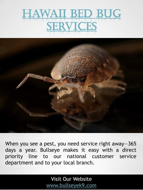 Certified Bed Bug Exterminator &amp; Treatment Service