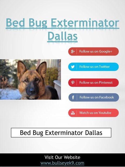 Certified Bed Bug Exterminator &amp; Treatment Service