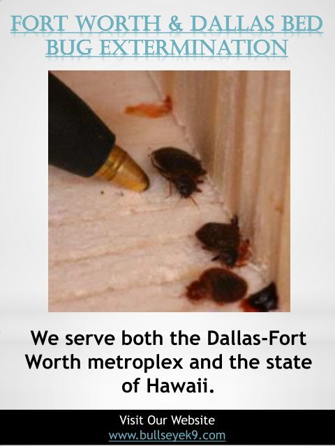 Certified Bed Bug Exterminator &amp; Treatment Service