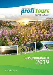 profi tours Reiseprogramm 2020