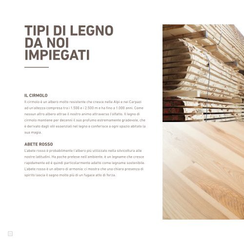 Zinipi Katalog IT