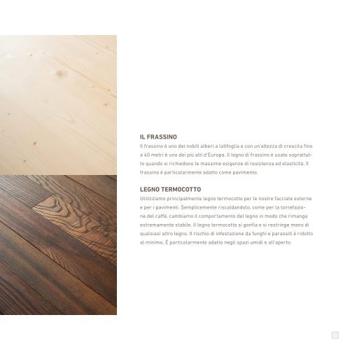 Zinipi Katalog IT