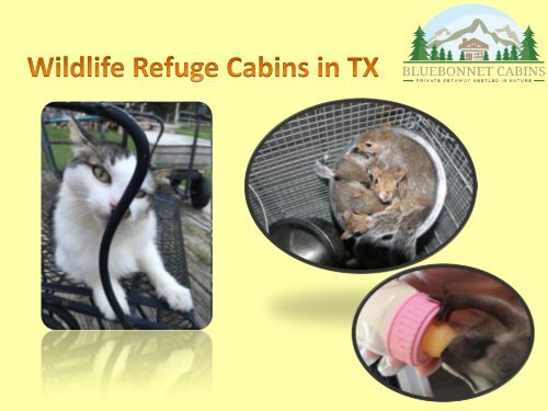 Wildlife Refuge Cabins