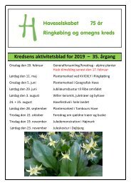 Aktivitetsblad_2019_PDF