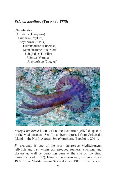 Jellyfish Book