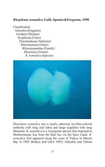 Jellyfish Book