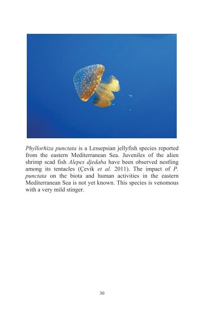 Jellyfish Book