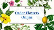 Bloomsvilla - Order Flowers Online in Pune