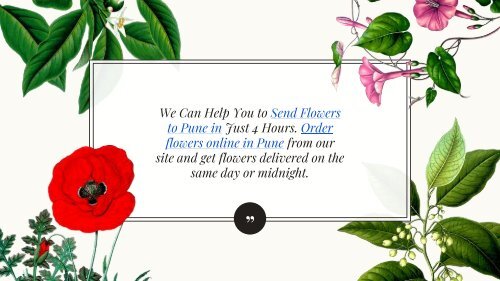 Bloomsvilla - Order Flowers Online in Pune
