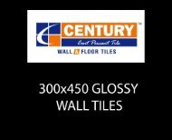 300x450mm glossy new-1