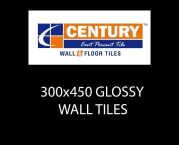 300x450mm glossy new-1