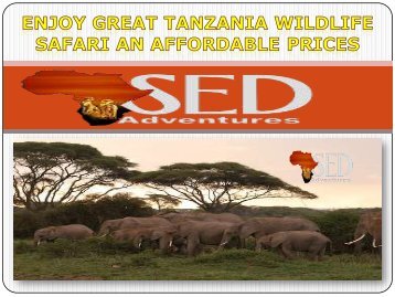 ENJOY GREAT TANZANIA WILDLIFE SAFARI AN AFFORDABLE PRICES