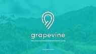 Grapevine Deck