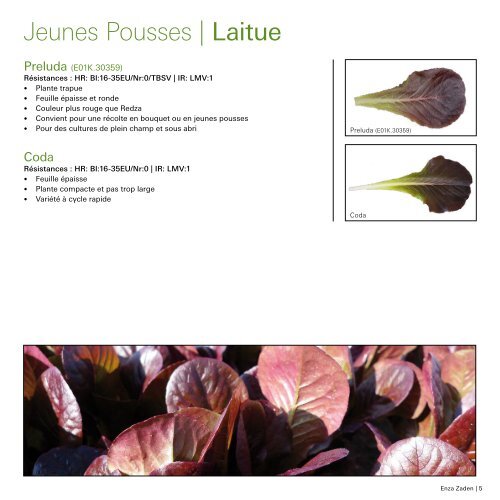 Brochure Jeunes Pousses 2019