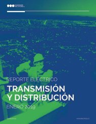 REPORTE ELÉCTRICO ENERO 2019