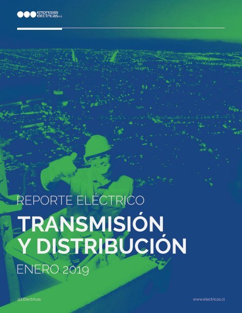 REPORTE ELÉCTRICO ENERO 2019