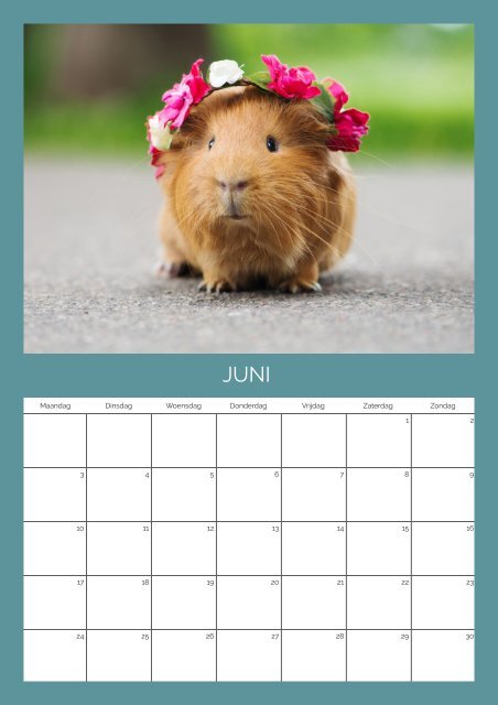 Dieren Kalender!