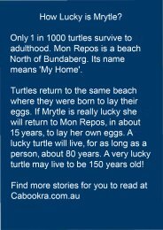 Mrytle_the_Lucky_TurtlebookPDF_0000_end