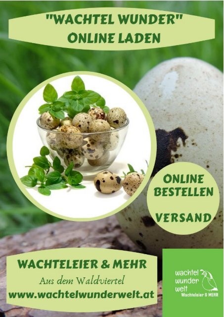 Wachtel Katalog