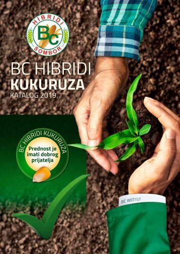 BC HIBRIDI KUKURUZA 2019