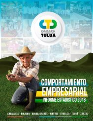 Informe Comportamiento Empresarial CCT 2018